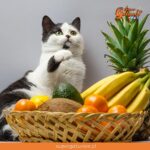 ¿Sabías que los aromas frutales les fascinan a nuestros gatos?