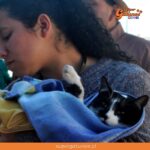 Informan calendario de esterilizaciones gratuitas para mascotas en Retiro