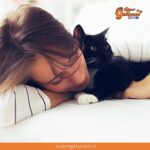 ¿Sabías que los gatos son animales considerados de soporte emocional?