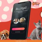 Refugio utiliza Tinder para encontrarle familia a sus gatos rescatados