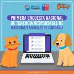 Lanzan primera encuesta nacional sobre cuidado y salud de mascotas