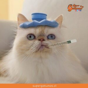 Colegio Médico Veterinario organiza charla gratuita sobre enfermedades virales