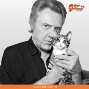 “Me gustan mucho los gatos, son una gran compañía. Cuando comen, siempre dejan algo en el fondo del tazón. Un perro pule el cuenco, pero un gato siempre deja un poco. Es como una ofrenda”