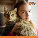 ¿Sabías que los gatos ayudan al bienestar psicológico de los niños?