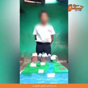 Gato destruye maqueta de un niño mientras expone para el colegio