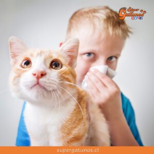 ¿Sabías que un limpiador a vapor nos ayuda con la alergia a los gatos?