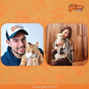 Conoce más de la primera Encuesta de Tenencia Responsable de Mascotas
