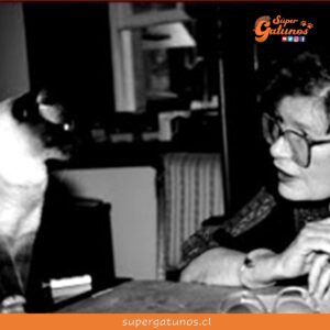 “La forma de llevarse bien con un gato es tratarlo como un igual, o incluso mejor, como el superior que sabe que es”