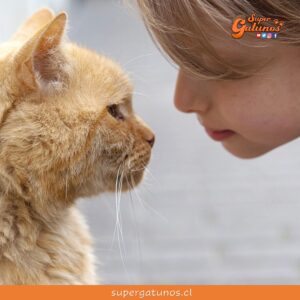 ¿Sabías que los gatos sonríen con suaves parpadeos de los ojos?