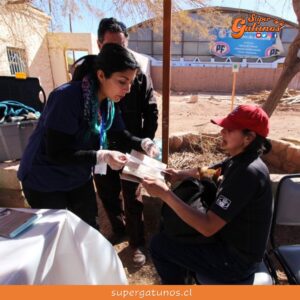 Vacunan contra la rabia a más de 940 mascotas en Antofagasta y Coquimbo