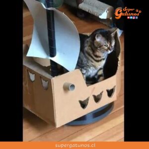 Conoce al gato “pirata” quien se entretiene en su propio barco de cartón