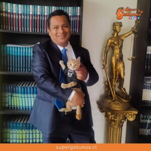 Conoce al “abogatito” quien fue rescatado y hoy vive en un estudio jurídico