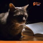 ¿Sabías que los gatos ven hasta 8 veces mejor que nosotros con luz tenue?