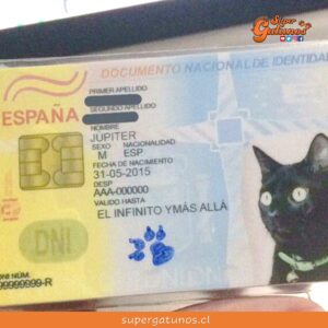 Anuncian cédula de identidad obligatoria para gatos y perros en España