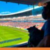 Inauguran en México el primer estadio del mundo con sector para mascotas