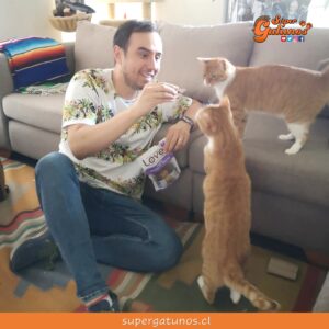 Descubre cómo sorprender a tu gato con el nuevo snack Love It!